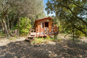 Chalet atypique